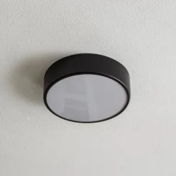 Plafondlamp Cleo 300, IP54, Ø 30 cm zwart