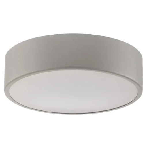 Plafondlamp Cleo 300, IP54, Ø 30 cm grijs