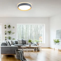 Plafondlamp Emilia, drievoudig dimbaar, grijs