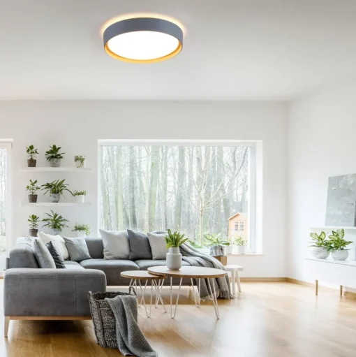 Plafondlamp Emilia, drievoudig dimbaar, grijs