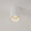 Plafondlamp Eye Tone, wit/zilver