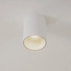 Plafondlamp Eye Tone, wit/zilver