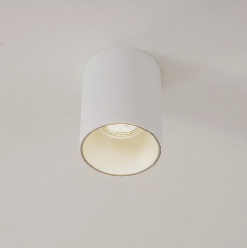 Plafondlamp Eye Tone, wit/zilver