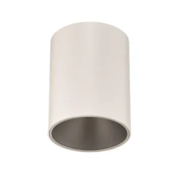 Plafondlamp Eye Tone, wit/zilver
