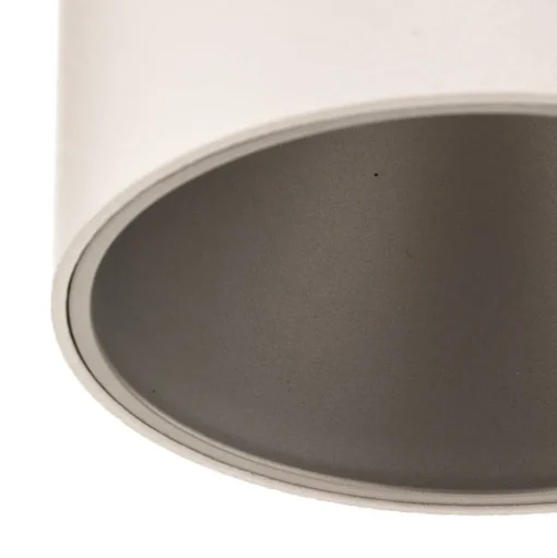 Plafondlamp Eye Tone, wit/zilver