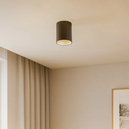 Plafondlamp Eye Tone, zwart/zilver