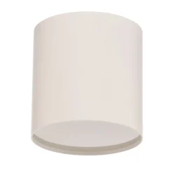Plafondlamp Point Plexi M, wit/opaal