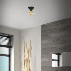 Plafondlamp Tepel voor de badkamer IP44 E27 zwart