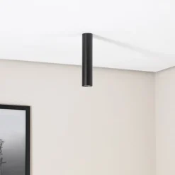 Plafondlamp Tube in cilindervorm, zwart