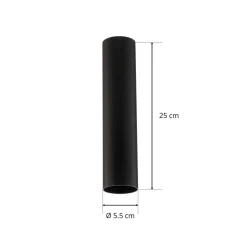 Plafondspot Eye, hoogte 25 cm, zwart