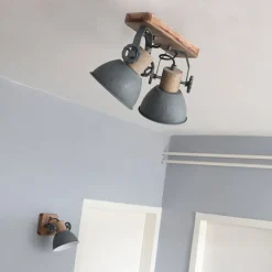 Plafondspot Gearwood, 2-lamps, grijs