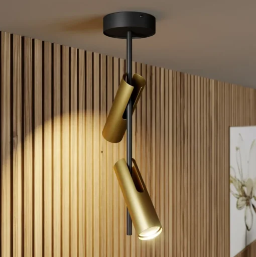 Plafondspot Leda 2, 2-lamps, zwart-goud