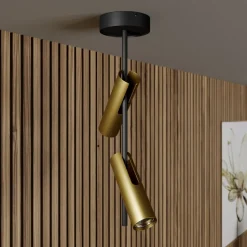 Plafondspot Leda 2, 2-lamps, zwart-goud