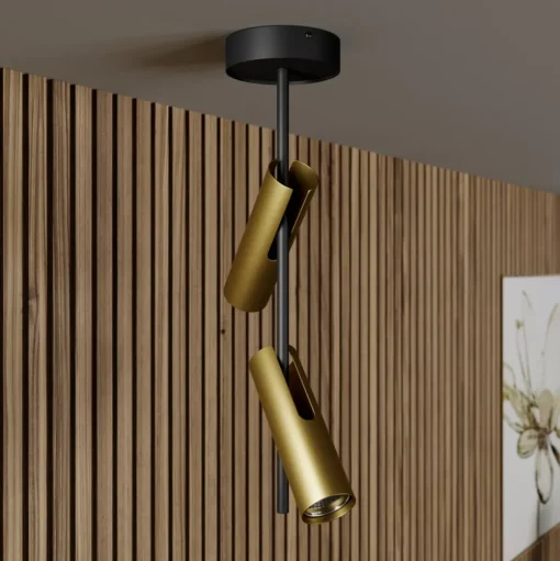 Plafondspot Leda 2, 2-lamps, zwart-goud