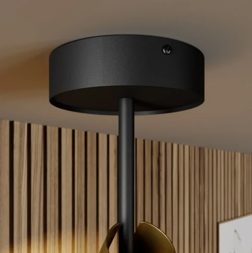 Plafondspot Leda 2, 2-lamps, zwart-goud