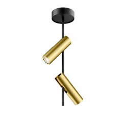 Plafondspot Leda 2, 2-lamps, zwart-goud