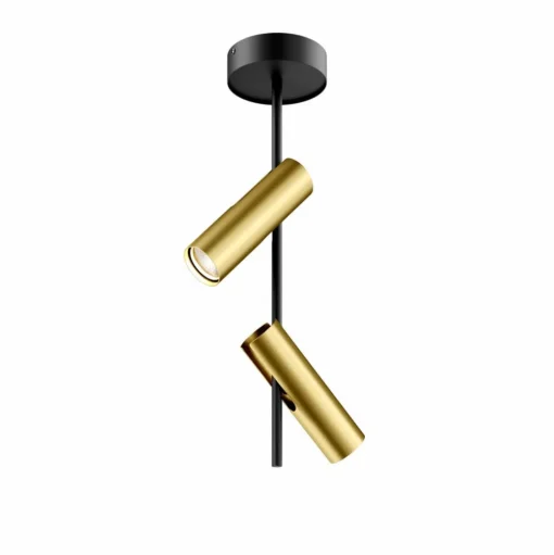 Plafondspot Leda 2, 2-lamps, zwart-goud