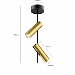 Plafondspot Leda 2, 2-lamps, zwart-goud