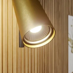 Plafondspot Leda 2, 2-lamps, zwart-goud
