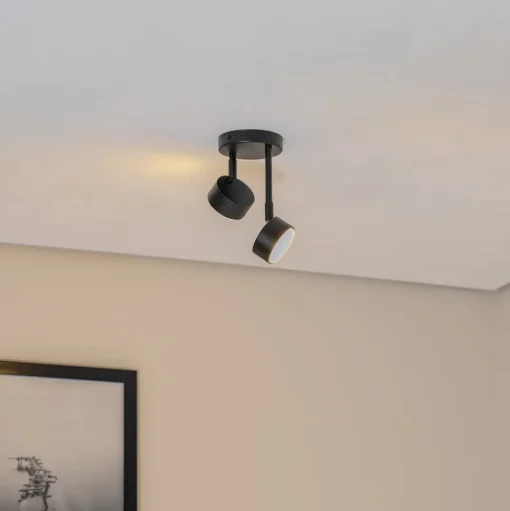 Plafondspot Nemo, 21 cm, 2-lamps, zwart, beweegbaar, GX53