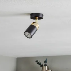 Plafondspot Reno, 1-lamp, zwart/goud