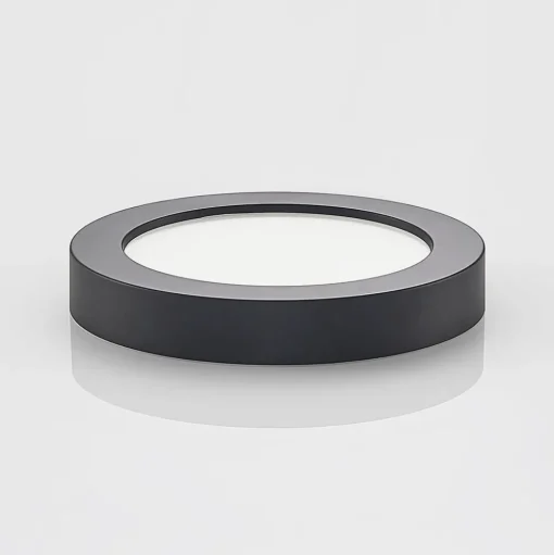 Prios LED plafondlamp Edwina, zwart, 23 cm, CCT, IP44
