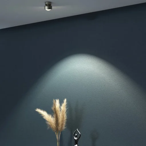 Puk Mini Move LED, heldere lens, mat nikkel