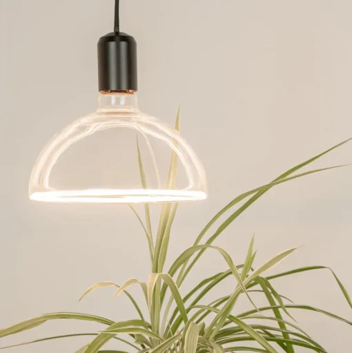 SEGULA LED lamp bowl E27 6,2W ambient dimbaar