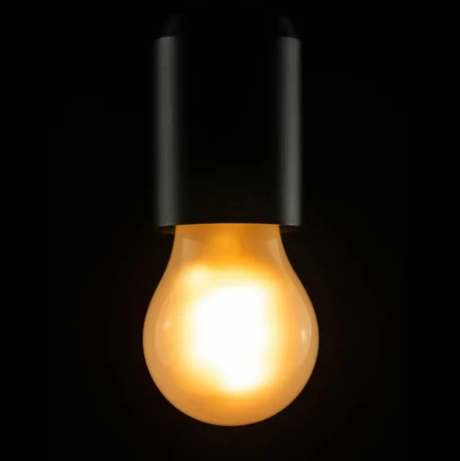Segula LED lamp E27 3,2W 922 A15 mat dimbaar