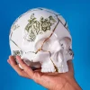 SELETTI Sculptuur Kintsugi Schedel, wit, porselein, goud