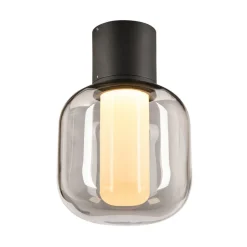 SLV Ovalisk LED buiten plafondlamp CCT