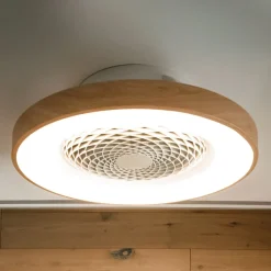 Smart LED plafondventilator Tibet, houtkleurig, stil, Ø 65 cm