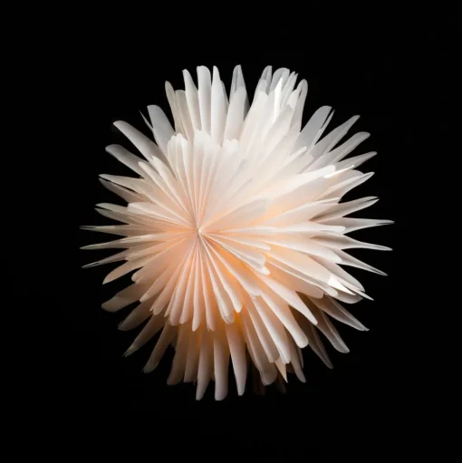 Sterntaler 2021 3D-papieren ster Ø 45 cm wit