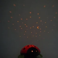 Sterrenhemel met het LED-nachtlicht Beetlestar