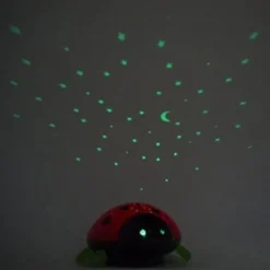 Sterrenhemel met het LED-nachtlicht Beetlestar