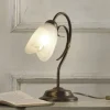 Tafellamp Odino, 1-lamp, bronskleurig, metaal, glas