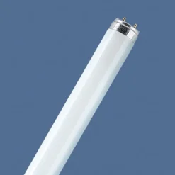 TL-buis G13 T8 58W 840 LUMILUX