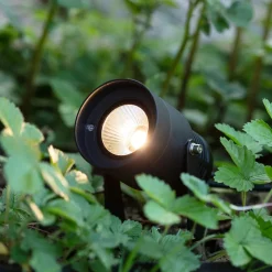 Tuin 24 LED spot, zwart, 6 watt