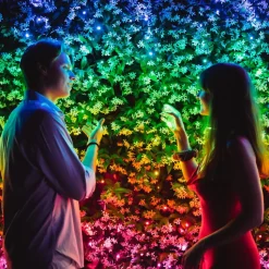 Twinkly RGB lichtkettingen, zwart, 400 lichtpunten 32m