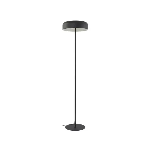 Vloerlamp Lindby Edion, zwart, metaal