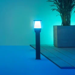 WiZ Elpas LED tuinpadverlichting RGBW start-set