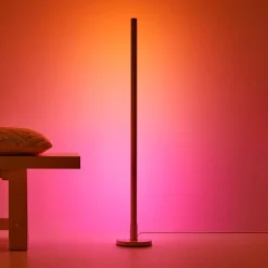WiZ LED vloerlamp Pol, Afstembaar Wit en Kleur