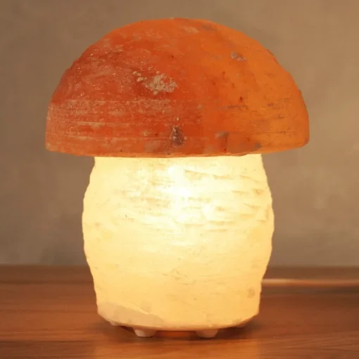 Zoutlamp paddenstoel